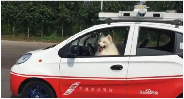 國內(nèi)外無人駕駛是什么水平？